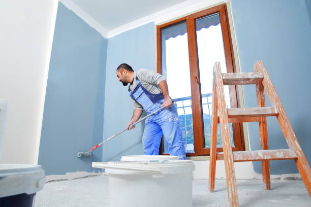 Best Attic Mold Removal  in Preston, ID