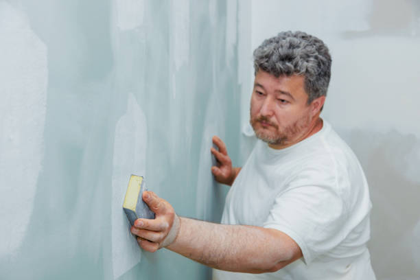 Best Black Mold Removal  in Preston, ID
