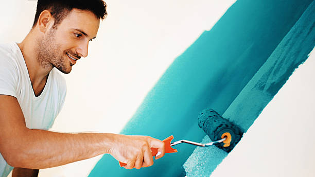 Mold Documentation for Insurance Claims in Preston, ID